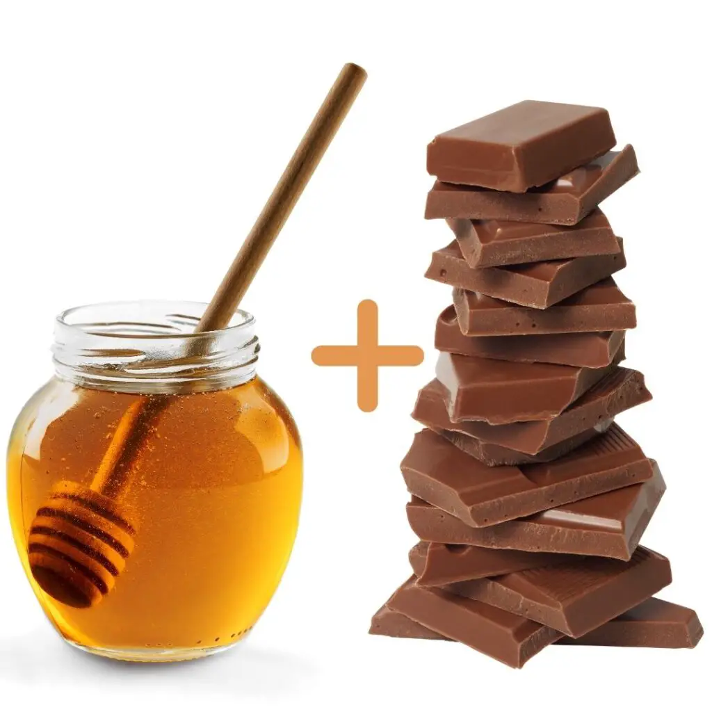 Chocolate and Honey as a Homemade Lip Scrub